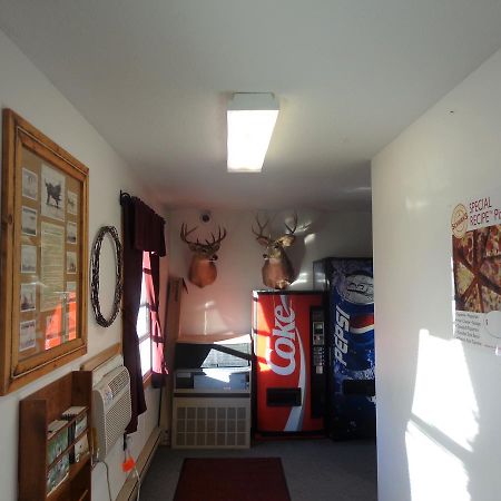 Tipperary Lodge Buffalo Buitenkant foto